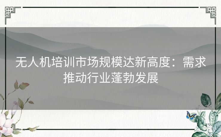 无人机培训市场规模达新高度:需求推动行业蓬勃发展 无人机培训市场规模达新高度:需求推动行业蓬勃发展
