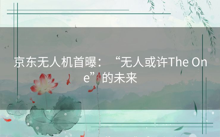 京东无人机首曝：“无人或许The One”的未来