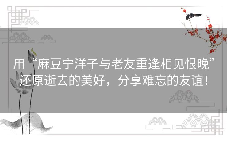 用“麻豆宁洋子与老友重逢相见恨晚”还原逝去的美好，分享难忘的友谊！
