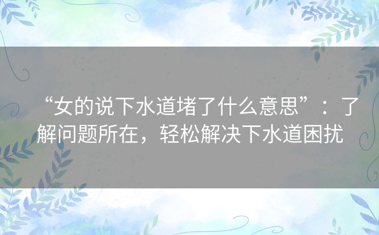 “女的说下水道堵了什么意思”:了解问题所在,轻松解决下水道困扰 “女的说下水道堵了什么意思”:了解问题所在,轻松解决下水道困扰