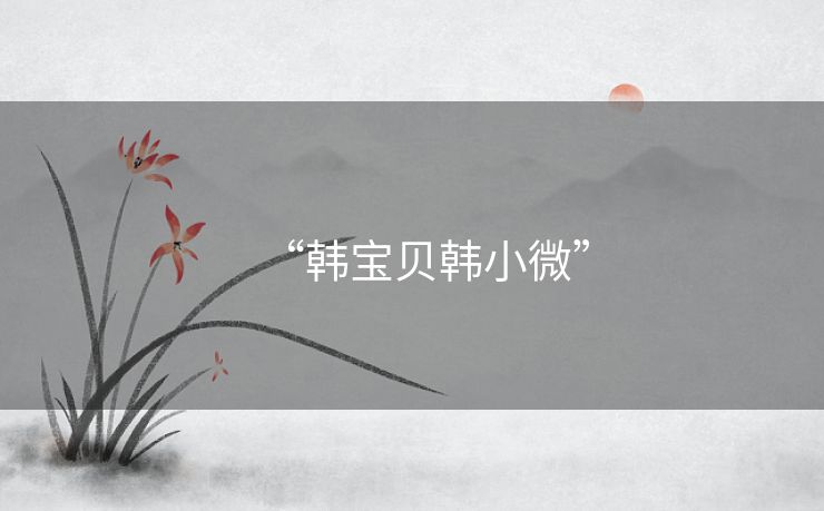 “韩宝贝韩小微” “韩宝贝韩小微”
