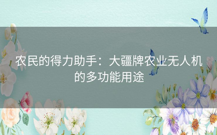农民的得力助手:大疆牌农业无人机的多功能用途 农民的得力助手:大疆牌农业无人机的多功能用途