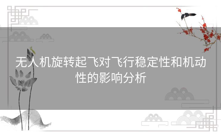 无人机旋转起飞对飞行稳定性和机动性的影响分析 无人机旋转起飞对飞行稳定性和机动性的影响分析