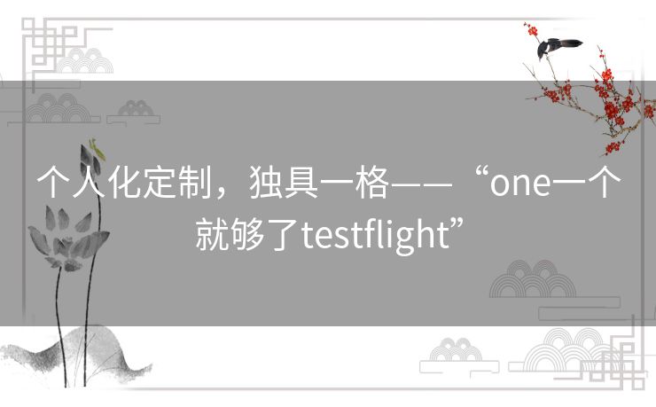 个人化定制,独具一格——“one一个就够了testflight” 个人化定制,独具一格——“one一个就够了testflight”