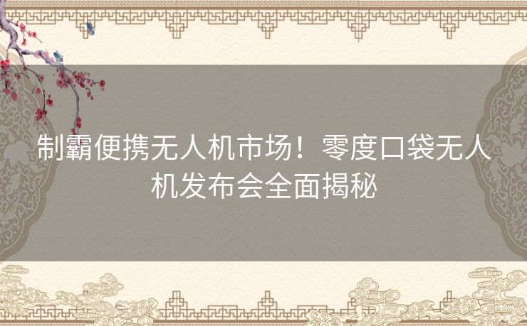 制霸便携无人机市场!零度口袋无人机发布会全面揭秘 制霸便携无人机市场!零度口袋无人机发布会全面揭秘