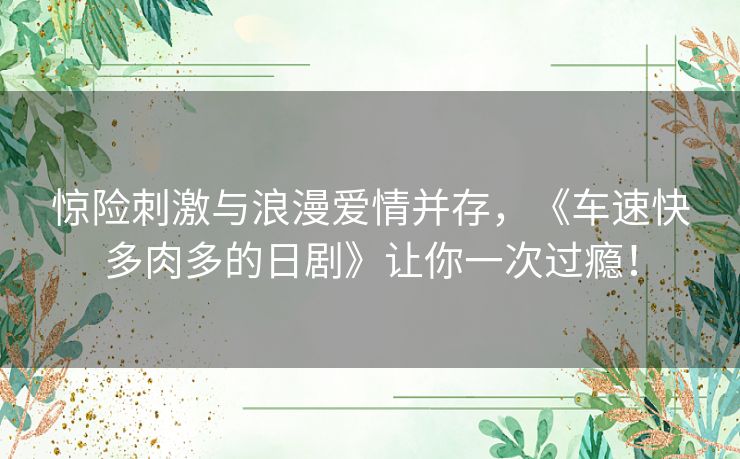 惊险刺激与浪漫爱情并存,《车速快多肉多的日剧》让你一次过瘾! 惊险刺激与浪漫爱情并存,《车速快多肉多的日剧》让你一次过瘾!
