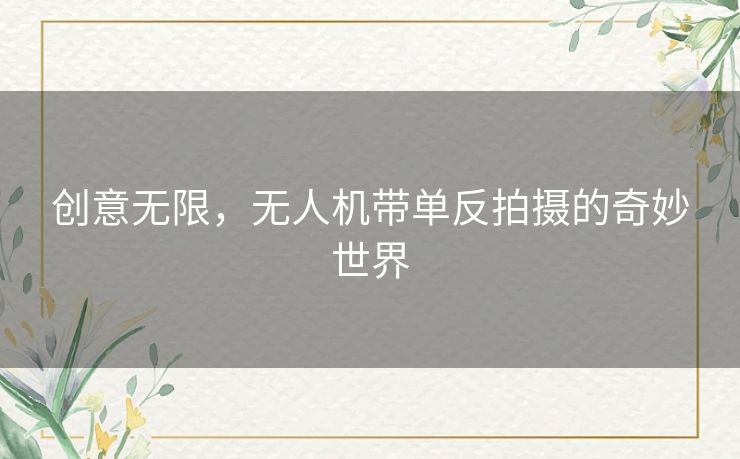 创意无限，无人机带单反拍摄的奇妙世界