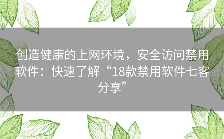 创造健康的上网环境,安全访问禁用软件:快速了解“18款禁用软件七客分享” 创造健康的上网环境,安全访问禁用软件:快速了解“18款禁用软件七客分享”