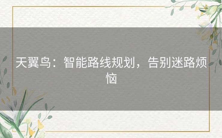 天翼鸟：智能路线规划，告别迷路烦恼
