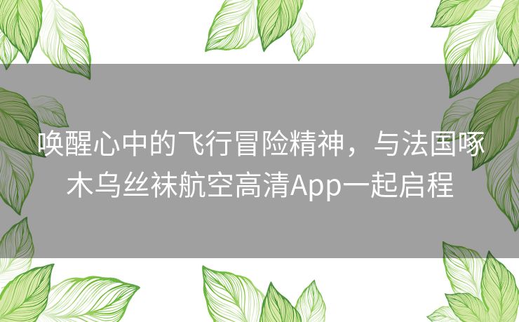 唤醒心中的飞行冒险精神,与法国啄木乌丝袜航空高清App一起启程 唤醒心中的飞行冒险精神,与法国啄木乌丝袜航空高清App一起启程