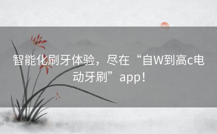 智能化刷牙体验,尽在“自W到高c电动牙刷”app! 智能化刷牙体验,尽在“自W到高c电动牙刷”app!