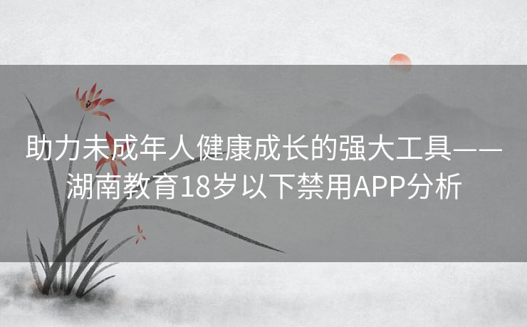 助力未成年人健康成长的强大工具——湖南教育18岁以下禁用APP分析 助力未成年人健康成长的强大工具——湖南教育18岁以下禁用APP分析