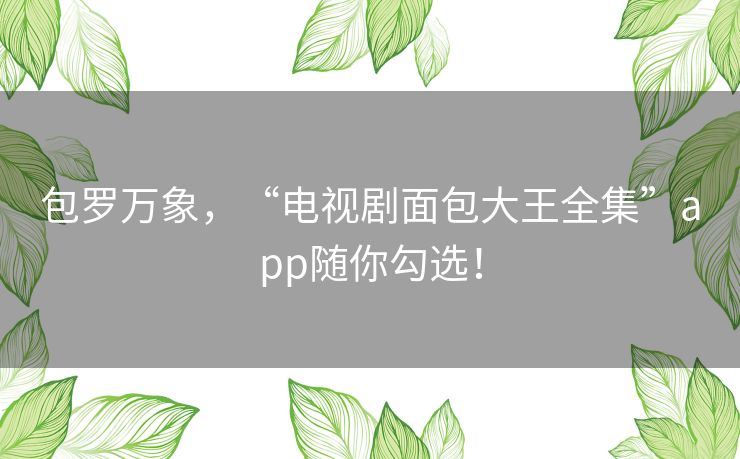 包罗万象,“电视剧面包大王全集”app随你勾选! 包罗万象,“电视剧面包大王全集”app随你勾选!