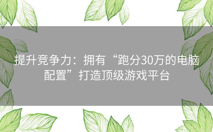 提升竞争力:拥有“跑分30万的电脑配置”打造顶级游戏平台 提升竞争力:拥有“跑分30万的电脑配置”打造顶级游戏平台