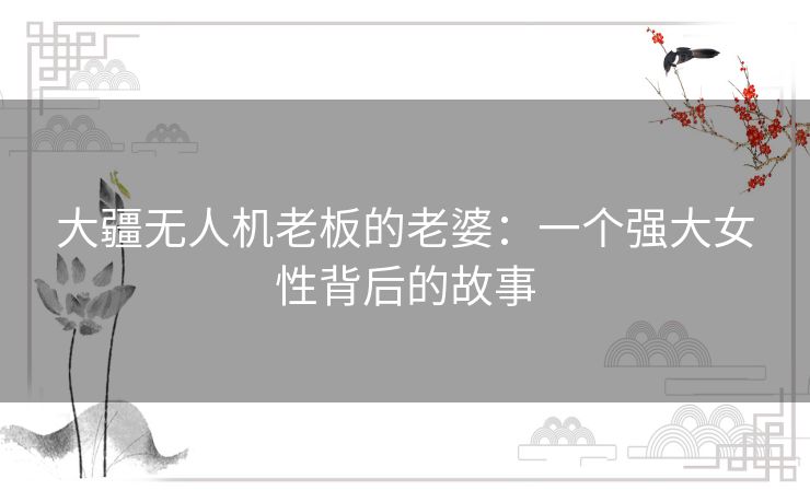 大疆无人机老板的老婆：一个强大女性背后的故事