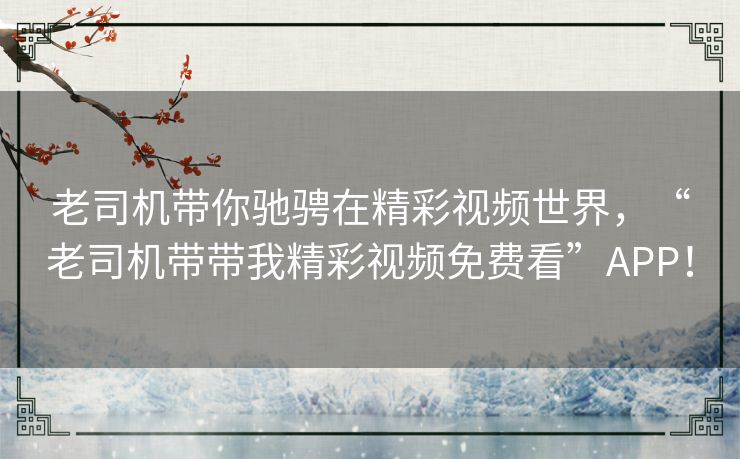 老司机带你驰骋在精彩视频世界，“老司机带带我精彩视频免费看”APP！