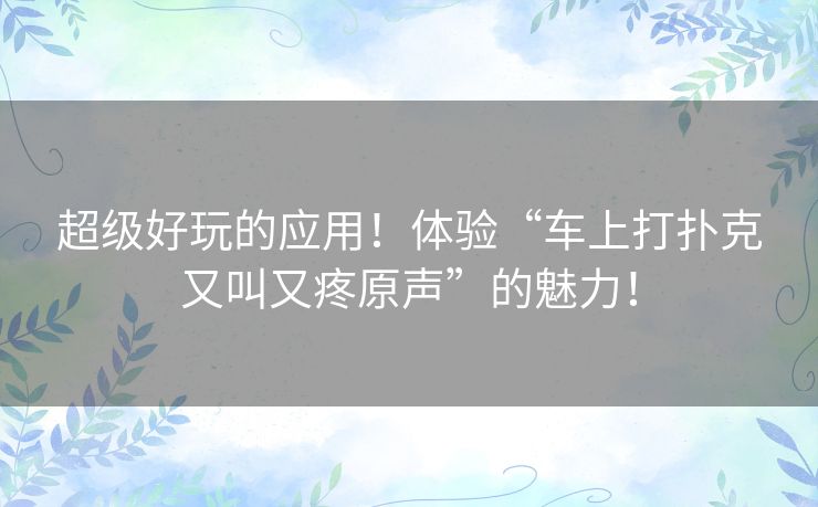 超级好玩的应用!体验“车上打扑克又叫又疼原声”的魅力! 超级好玩的应用!体验“车上打扑克又叫又疼原声”的魅力!