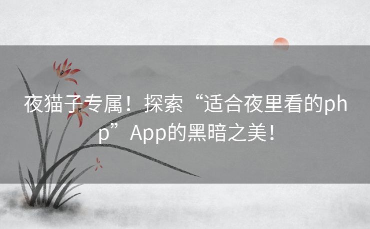 夜猫子专属！探索“适合夜里看的php”App的黑暗之美！