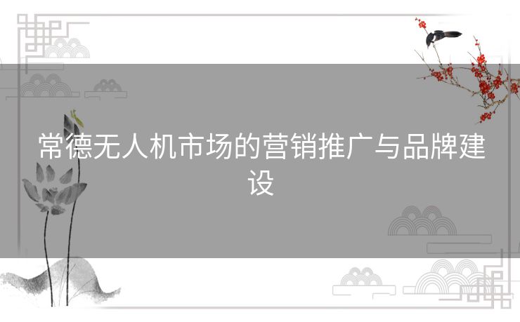 常德无人机市场的营销推广与品牌建设 常德无人机市场的营销推广与品牌建设