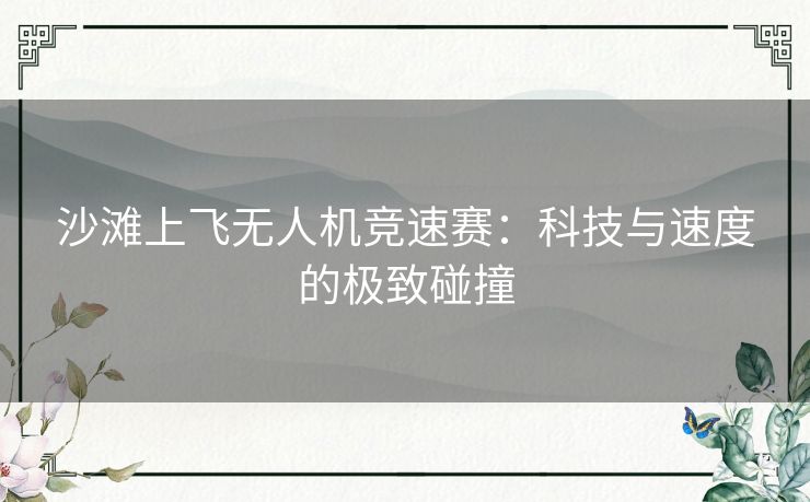 沙滩上飞无人机竞速赛:科技与速度的极致碰撞 沙滩上飞无人机竞速赛:科技与速度的极致碰撞