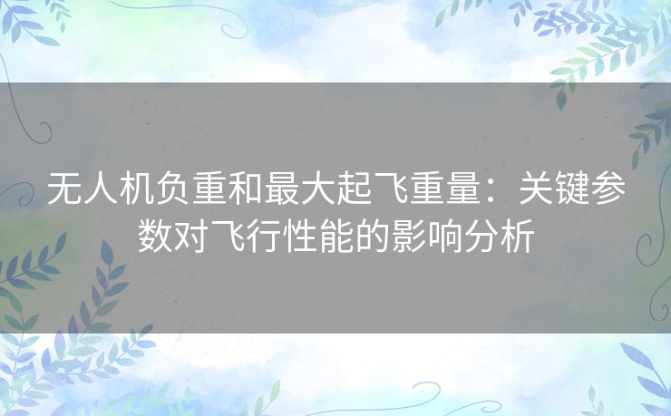 无人机负重和最大起飞重量:关键参数对飞行性能的影响分析 无人机负重和最大起飞重量:关键参数对飞行性能的影响分析