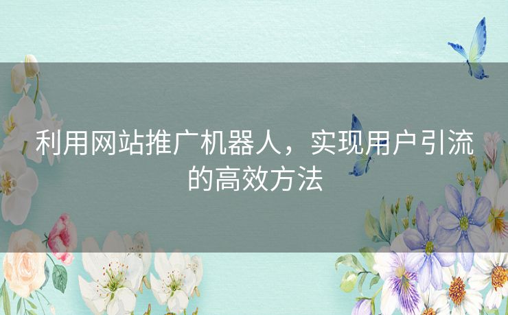 利用网站推广机器人，实现用户引流的高效方法