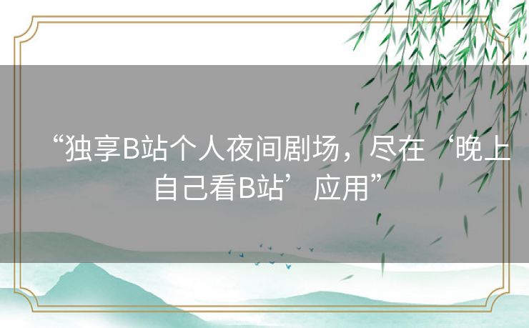 “独享B站个人夜间剧场，尽在‘晚上自己看B站’应用”