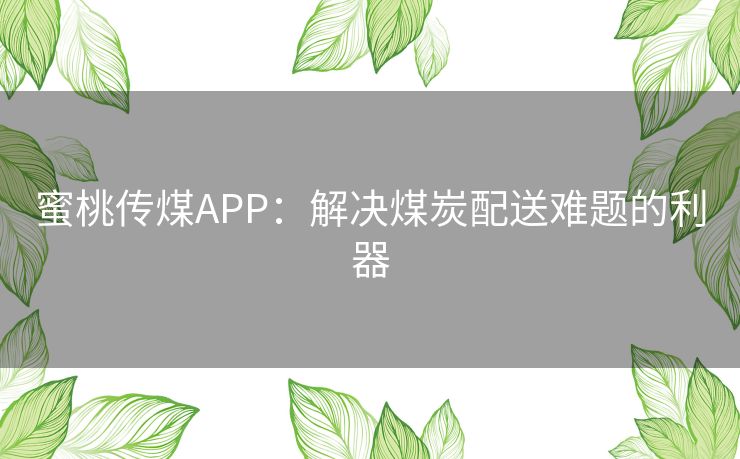 蜜桃传煤APP：解决煤炭配送难题的利器