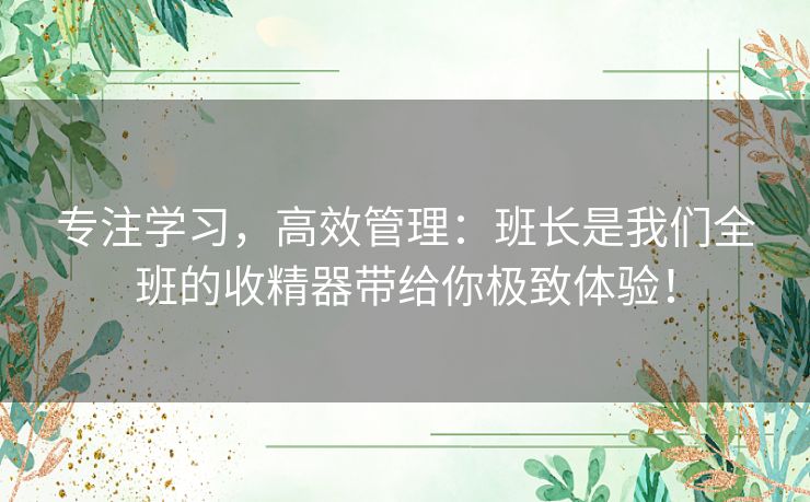 专注学习，高效管理：班长是我们全班的收精器带给你极致体验！