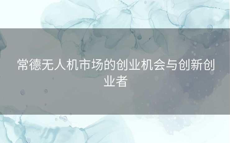 常德无人机市场的创业机会与创新创业者