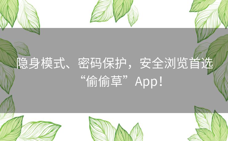 隐身模式、密码保护,安全浏览首选“偷偷草”App! 隐身模式、密码保护,安全浏览首选“偷偷草”App!