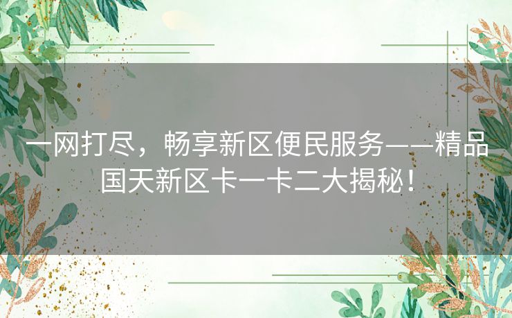 一网打尽,畅享新区便民服务——精品国天新区卡一卡二大揭秘! 一网打尽,畅享新区便民服务——精品国天新区卡一卡二大揭秘!