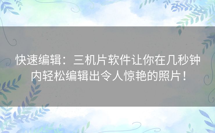 快速编辑:三机片软件让你在几秒钟内轻松编辑出令人惊艳的照片! 快速编辑:三机片软件让你在几秒钟内轻松编辑出令人惊艳的照片!