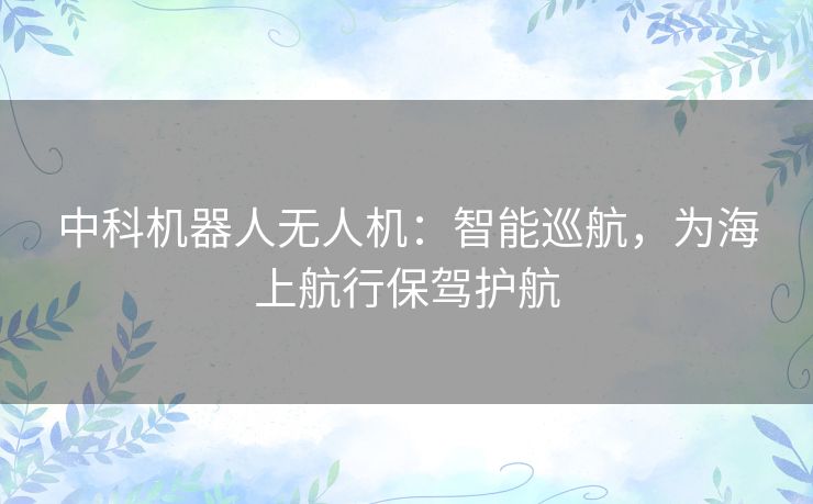 中科机器人无人机:智能巡航,为海上航行保驾护航 中科机器人无人机:智能巡航,为海上航行保驾护航