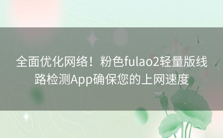 全面优化网络！粉色fulao2轻量版线路检测App确保您的上网速度