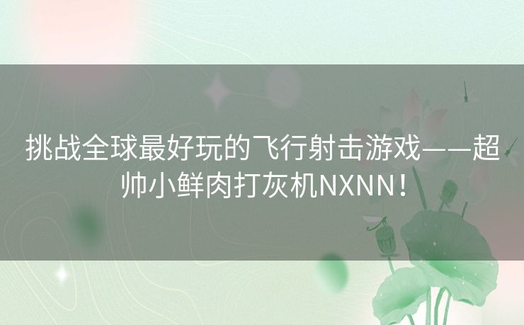 挑战全球最好玩的飞行射击游戏——超帅小鲜肉打灰机NXNN! 挑战全球最好玩的飞行射击游戏——超帅小鲜肉打灰机NXNN!