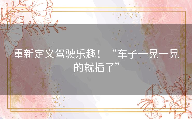 重新定义驾驶乐趣!“车子一晃一晃的就插了” 重新定义驾驶乐趣!“车子一晃一晃的就插了”