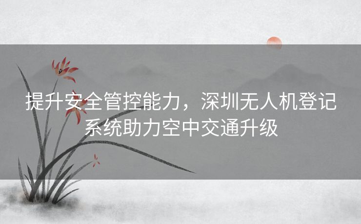 提升安全管控能力，深圳无人机登记系统助力空中交通升级