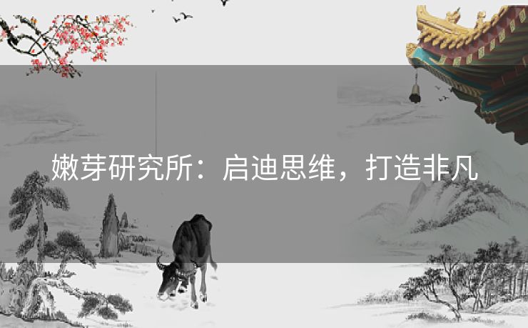 嫩芽研究所:启迪思维,打造非凡 嫩芽研究所:启迪思维,打造非凡