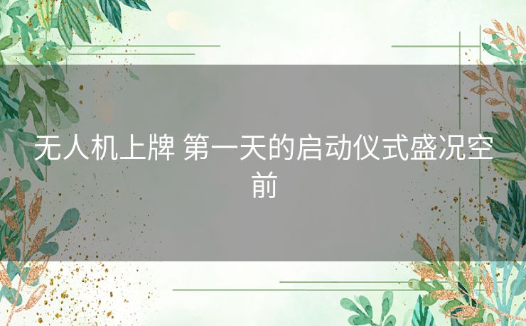 无人机上牌 第一天的启动仪式盛况空前