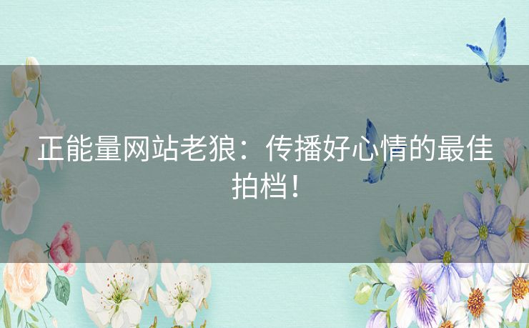 正能量网站老狼：传播好心情的最佳拍档！