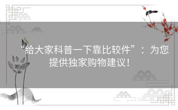 “给大家科普一下靠比较件”：为您提供独家购物建议！