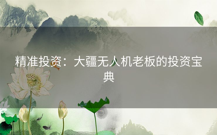 精准投资：大疆无人机老板的投资宝典