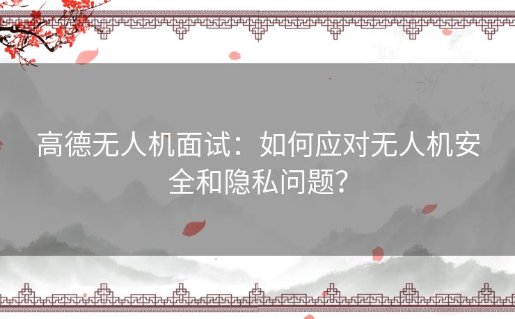 高德无人机面试：如何应对无人机安全和隐私问题？