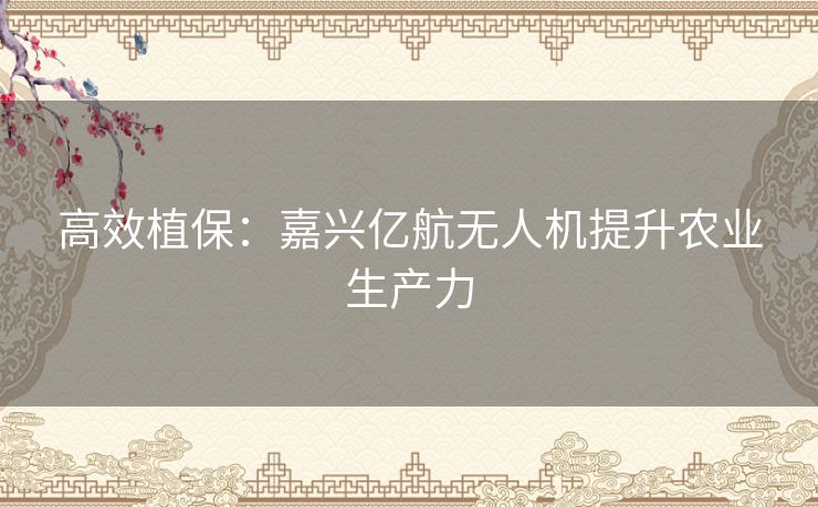 高效植保：嘉兴亿航无人机提升农业生产力