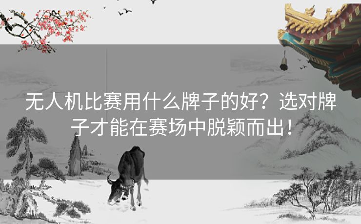 无人机比赛用什么牌子的好？选对牌子才能在赛场中脱颖而出！