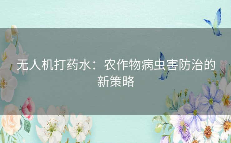 无人机打药水：农作物病虫害防治的新策略